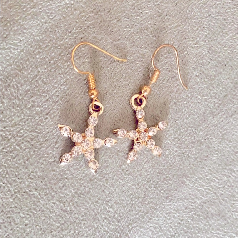 Boutique Earrings
